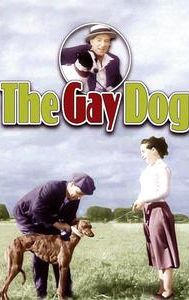 The Gay Dog