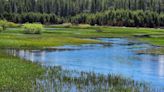 SYRCL launches phase 2 of Van Norden Meadow Restoration Project with $2.5M grant