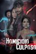 Homicidio culposo