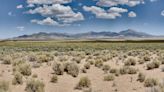 Preserving the pulse of the West: Urgent conservation needed for Nevada's sagebrush biome