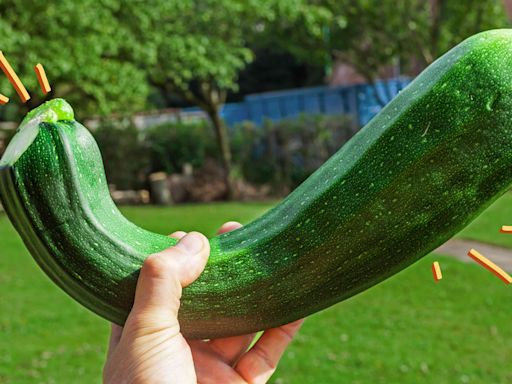 The Best Way To Use a Massive Zucchini, According to a Food Editor