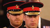 Prince Harry Left 'In Tears' After Military Role Was Given To Prince William