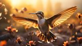 Esta es la leyenda de la cultura maya que revela el nacimiento de los colibríes