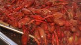 Average live crawfish prices in Louisiana go up as season nears end