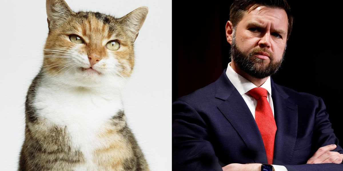 FYI, JD Vance Isn't The First Man To Resent Cat Ladies — They've Always Been Politicized