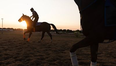 Cobra Venom, Cocaine, and Corruption: New Documentary Reveals the Dark Side of Horse Racing