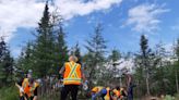 Quebec town hopes replanting the right trees will shield their community from future forest fires
