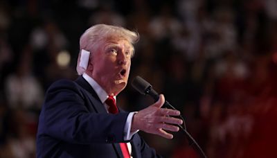 Donald Trump now facing memory lapse concerns: Professor