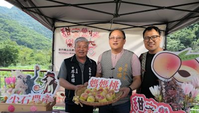 尖石「五月桃」上市 玉峰大橋旁展售歡迎上山嚐鮮