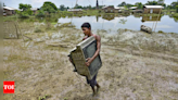 Assam flood-hit sheltering in forest attacked by leopard | India News - Times of India