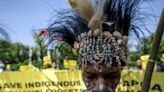 Papuans head to Indonesian court to protect forests from palm oil