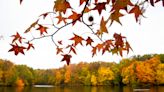 Here's when you can expect peak fall foliage colors in Evansville and Henderson