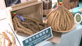 首批170種台灣小米種原 將送挪威世界種子庫