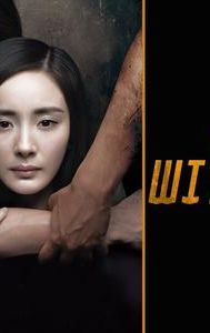 The Witness (2015 Chinese film)