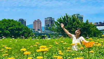 新北河濱2024絢爛花海 春遊少女的祕密花園