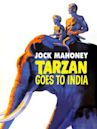 Tarzan erobert Indien