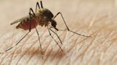 Massachusetts health officials announce state’s 5th human case of West Nile virus