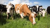 NatWest changes 'misleading' GHG emissions advice - Farmers Weekly