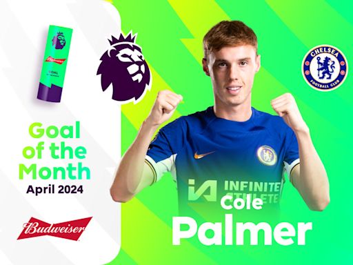 Palmer wins awards DOUBLE with Budweiser Goal of the Month