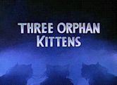 Three Orphan Kittens