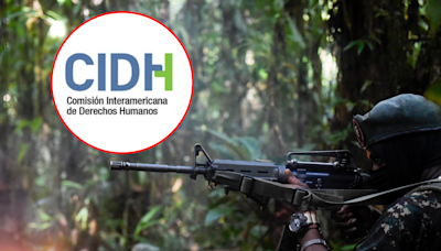 CIDH: en Colombia se consolidó la cultura de la violencia por el conflicto