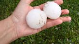 John Wheeler: Large hail is very destructive, but rare at any one location