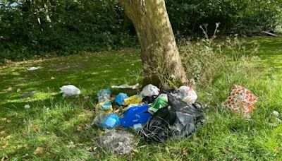 Piles of litter and 'biological human waste' left in Weelsby Woods after travellers leave