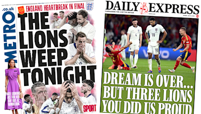 'Lions weep tonight' but team 'did us proud'