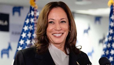 Trump and his allies tear into Kamala Harris as campaign heats up: 'DEI vice president'