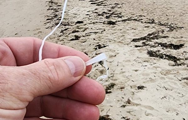 Blade debris or seaweed? Vineyard Wind says no offshore blade pieces ended up on Cape Cod