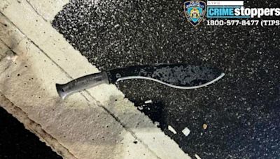 Policías atacados con machetes en Times Sq de Nueva York: joven es sentenciado a 27 años y afronta más juicios - El Diario NY