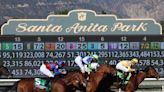 Breeders’ Cup 2023 Livestream: How to Watch Every Horse Race Online for Free