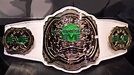 Pro Wrestling EVE Championship | Pro Wrestling | Fandom