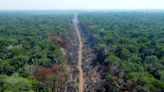 亞馬遜雨林野外求生31天 男「吃蟲、喝尿」奇蹟倖存
