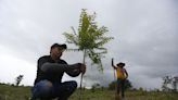 Reforestar el Corazón de la Amazonía une a los campesinos colombianos en tiempos de paz
