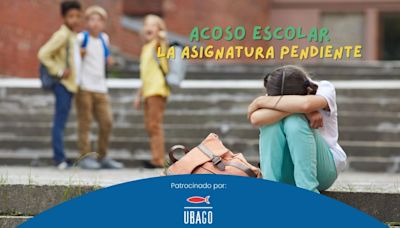 Acoso escolar, la figura del agente tutor