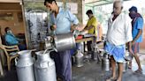 Nandini milk price hike: Increase of ₹2 proportionate to 50 ml extra milk per sachet, says Siddaramaiah