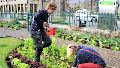 RHODA GRANT: My visit to Caithness highlighted positive work in communities