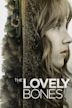 The Lovely Bones (film)