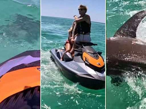 'Aggressive' bull shark caught on video circling, ramming into jet skiers days after successive attacks