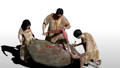 Las marcas de herramientas en un armadillo gigante muestran presencia humana en Argentina hace 21.000 años