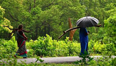 How the PESA has boosted forest conservation in India