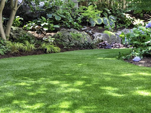 6 Tips for Keeping Your Lawn Green in the Summer Heat
