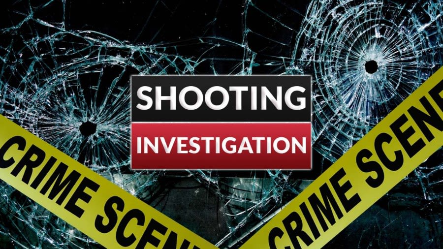 Ville Platte Police investigating early morning shooting