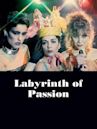 Le Labyrinthe des passions