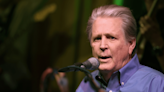 Brian Wilson Placed in Conservatorship Months After Wife's Death