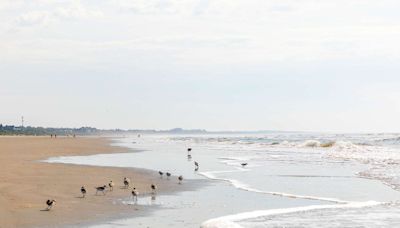 This Beach Was Named the Best in South Carolina — and It's Just Outside of Charleston