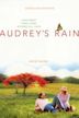 Audrey's Rain