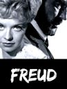 Freud: The Secret Passion