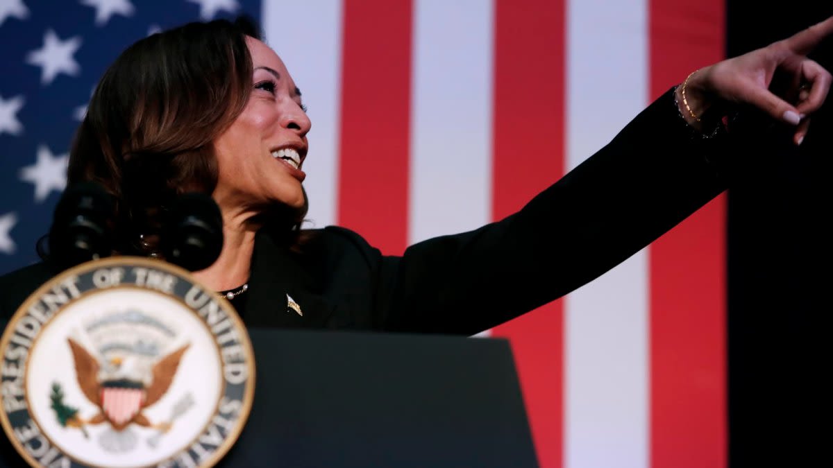 Democrats rally behind Kamala Harris after Biden drops out; running-mate speculation swirls